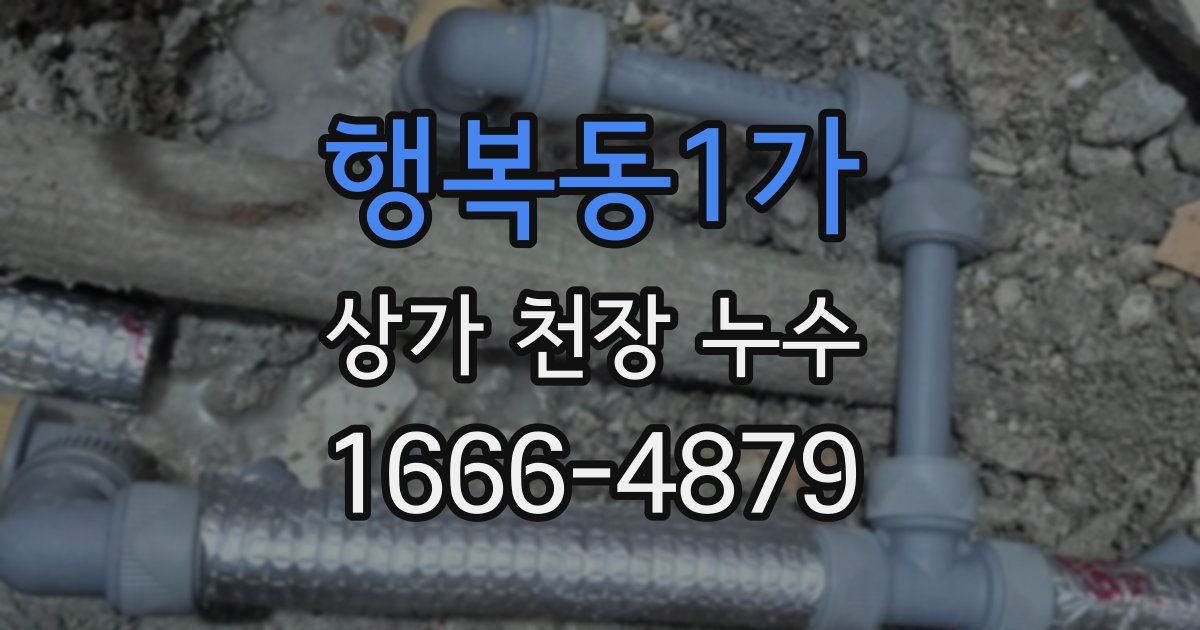 행복동1가 상가 천장 누수