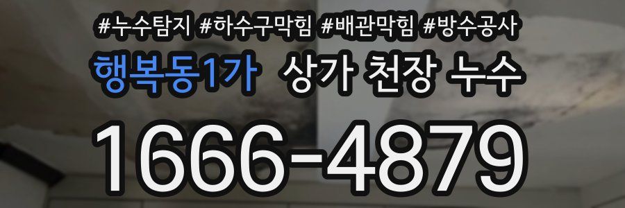 행복동1가 상가 천장 누수