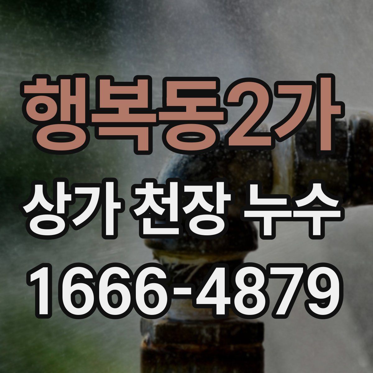 행복동2가 상가 천장 누수