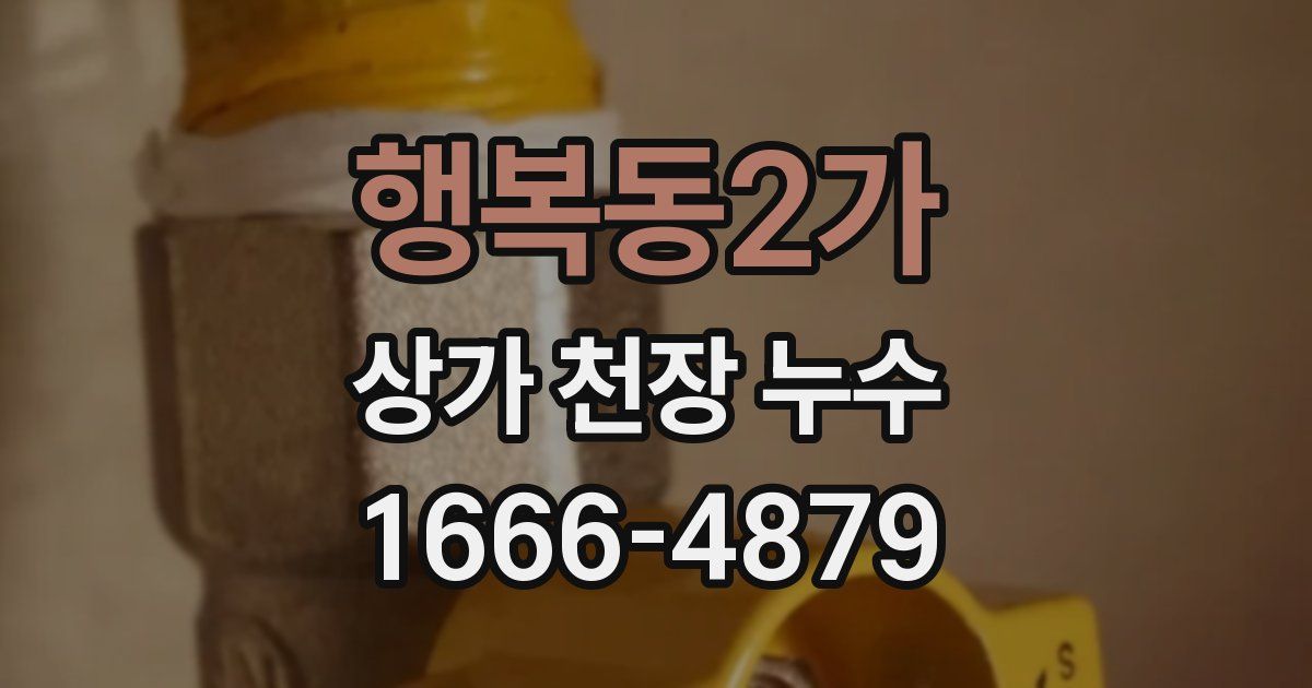 행복동2가 상가 천장 누수