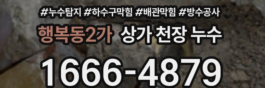 행복동2가 상가 천장 누수