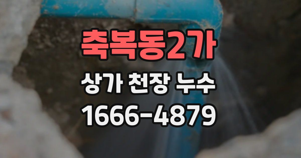 축복동2가 상가 천장 누수