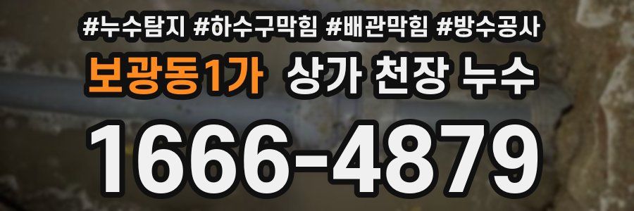 보광동1가 상가 천장 누수