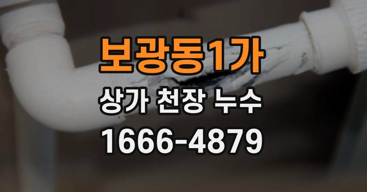 보광동1가 상가 천장 누수