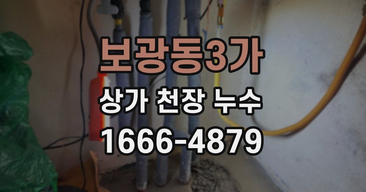 보광동3가 상가 천장 누수