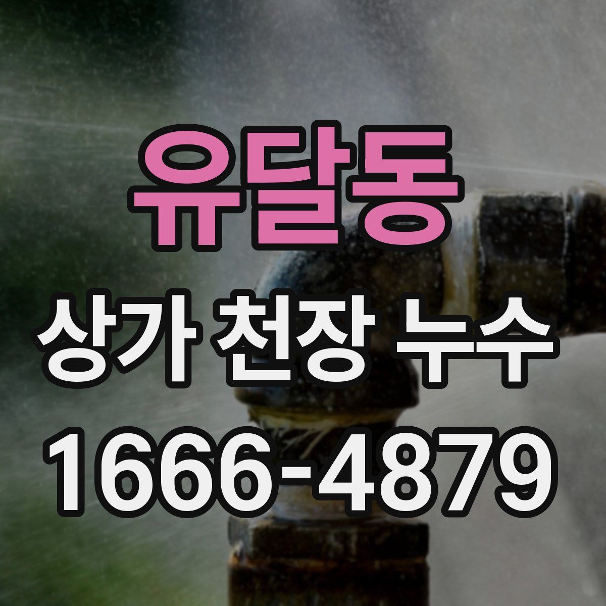 유달동 상가 천장 누수