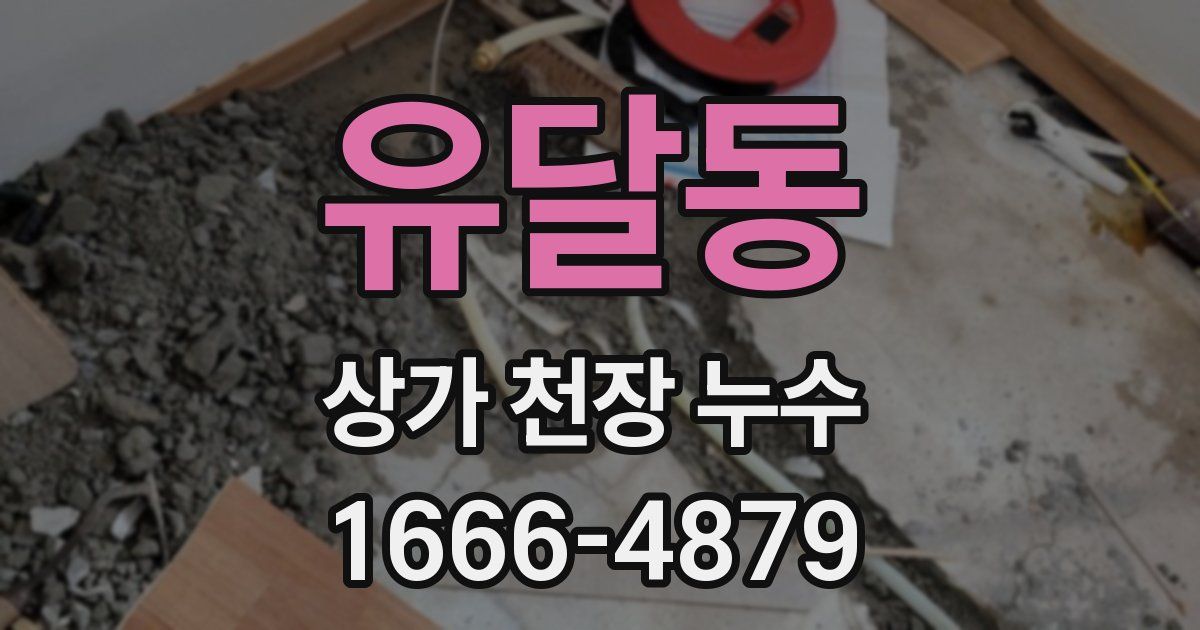 유달동 상가 천장 누수