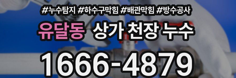 유달동 상가 천장 누수