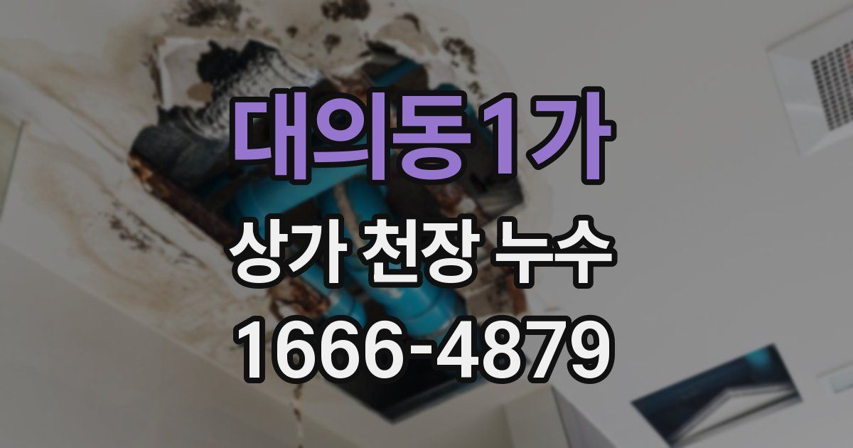 대의동1가 상가 천장 누수