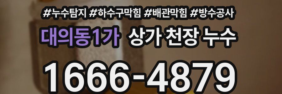 대의동1가 상가 천장 누수