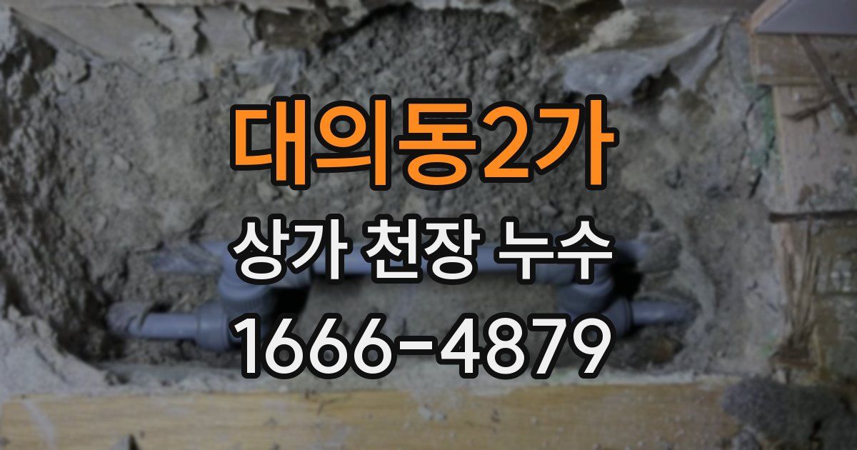 대의동2가 상가 천장 누수