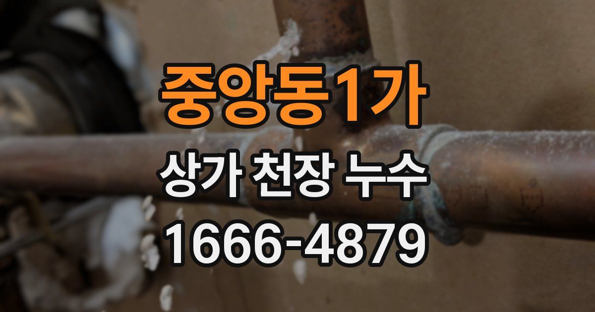 중앙동1가 상가 천장 누수