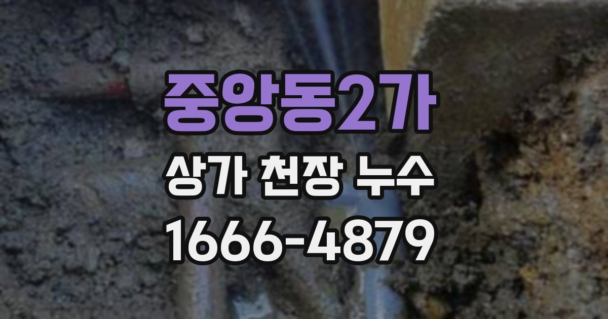중앙동2가 상가 천장 누수