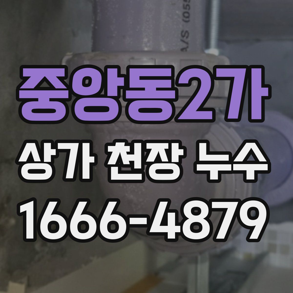 중앙동2가 상가 천장 누수
