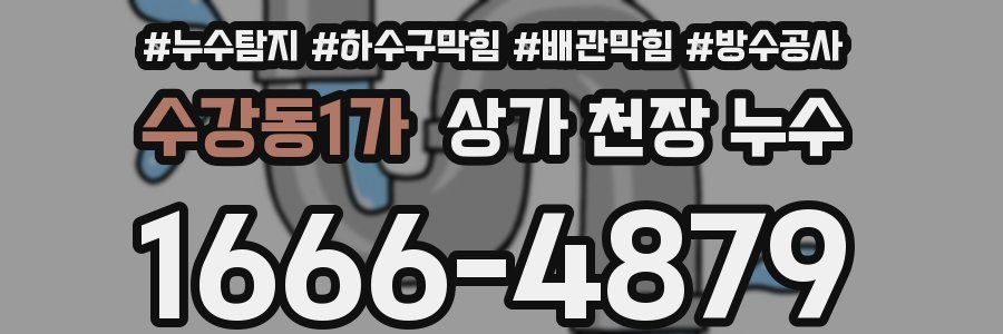 수강동1가 상가 천장 누수
