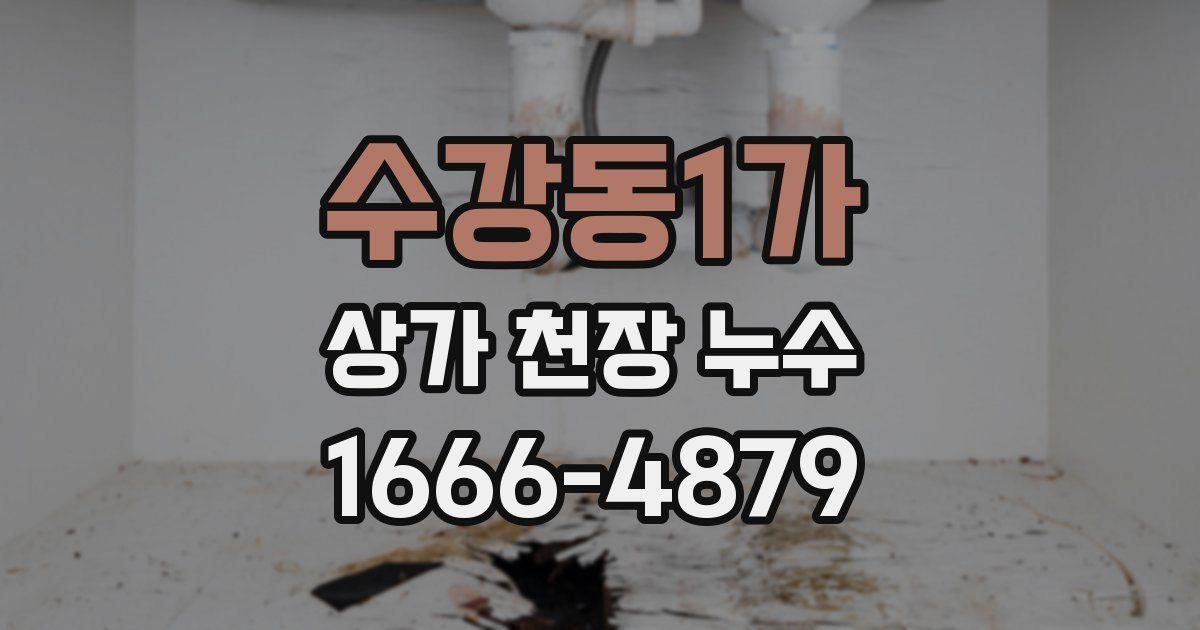수강동1가 상가 천장 누수