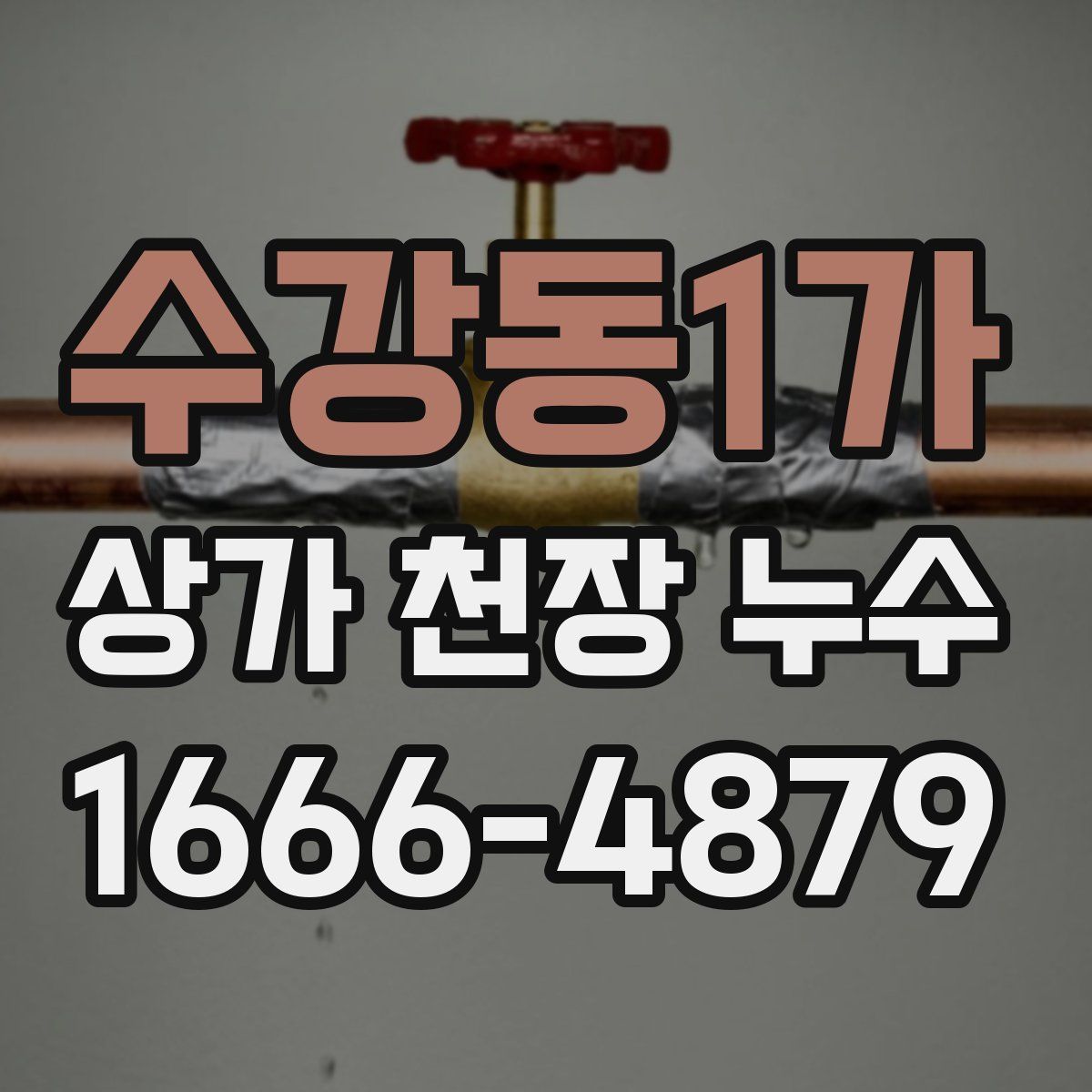 수강동1가 상가 천장 누수