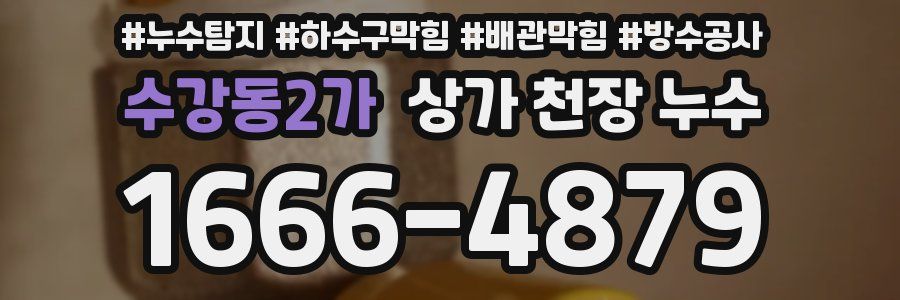 수강동2가 상가 천장 누수