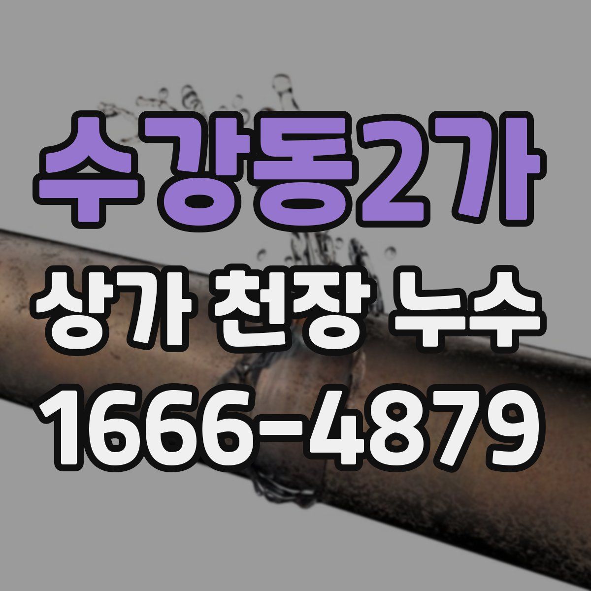 수강동2가 상가 천장 누수
