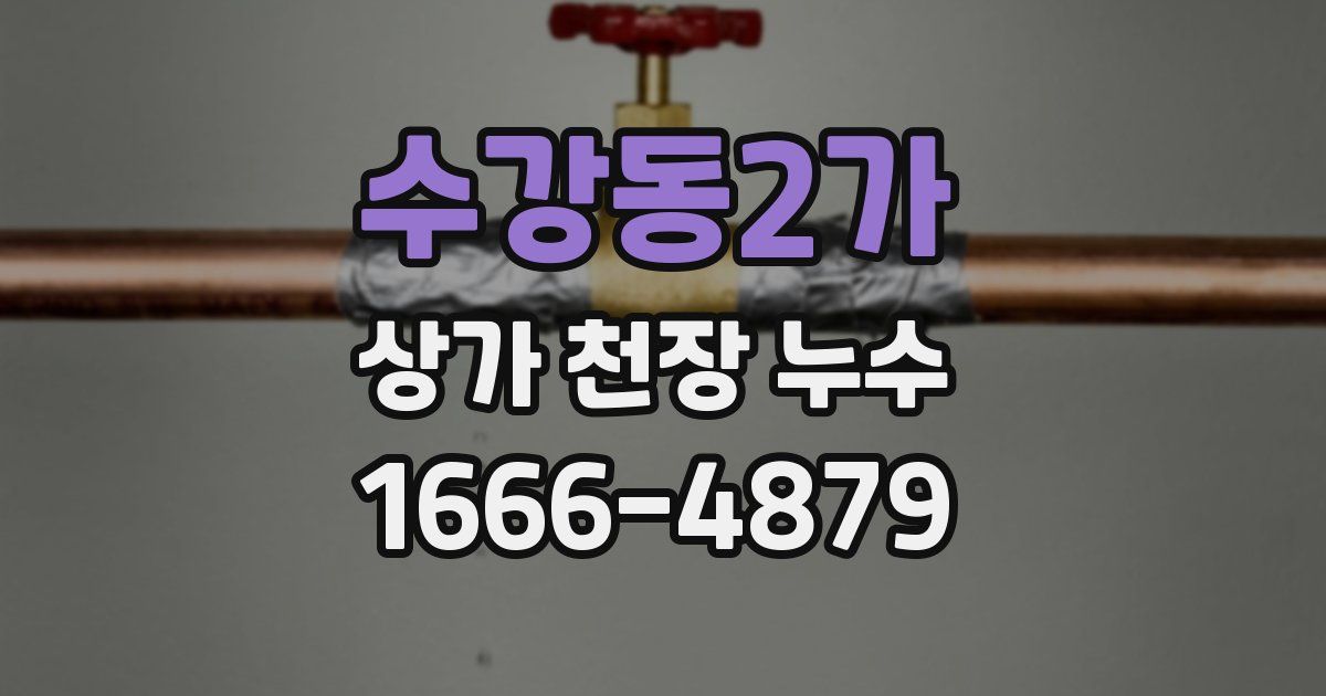 수강동2가 상가 천장 누수