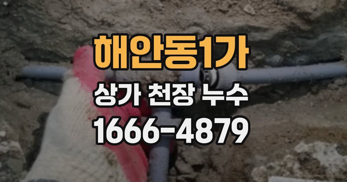 해안동1가 상가 천장 누수