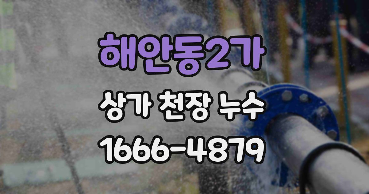 해안동2가 상가 천장 누수