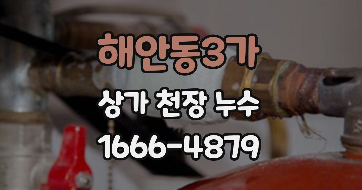 해안동3가 상가 천장 누수