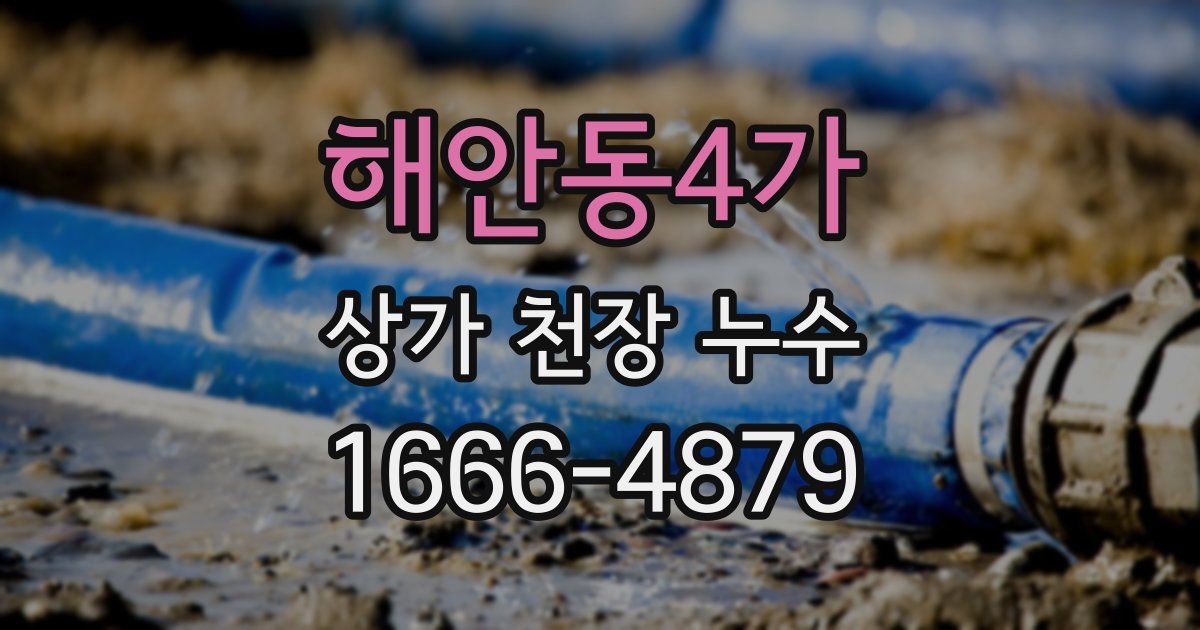 해안동4가 상가 천장 누수