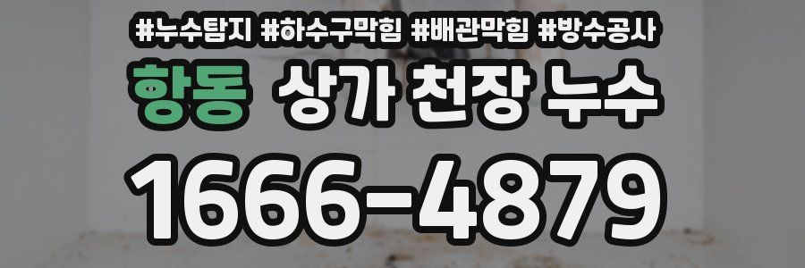 항동 상가 천장 누수