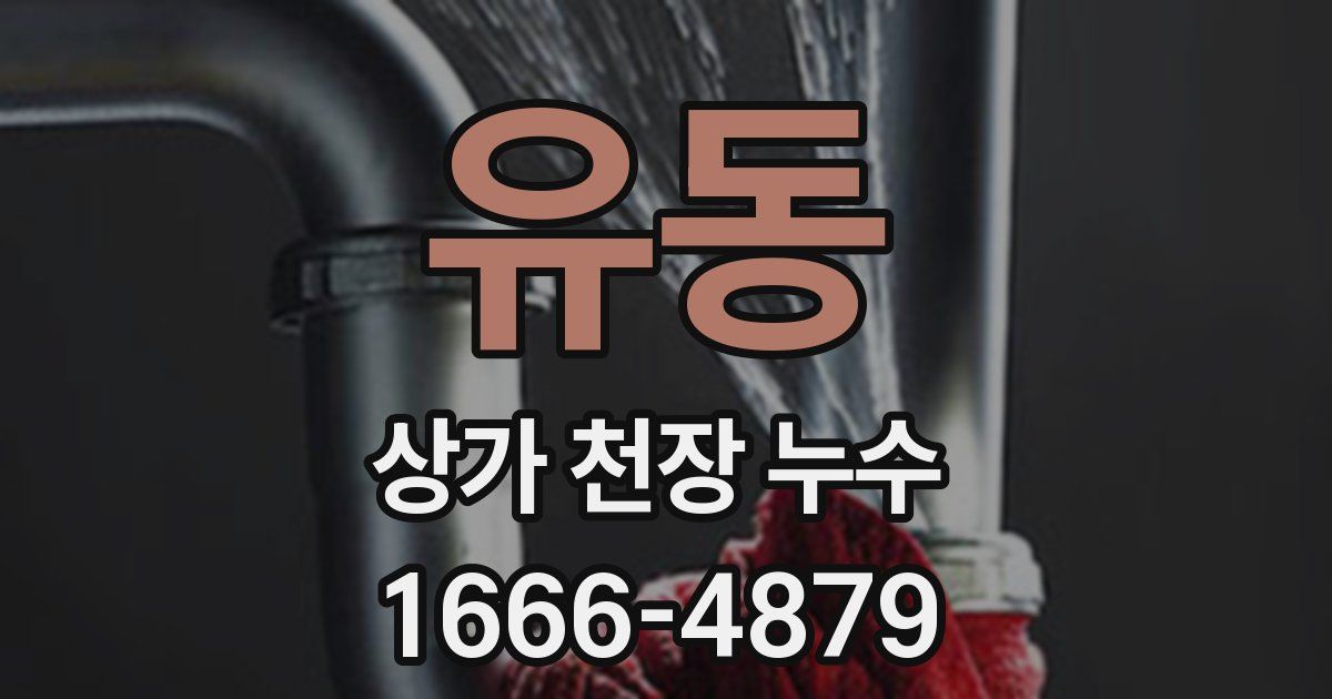 유동 상가 천장 누수
