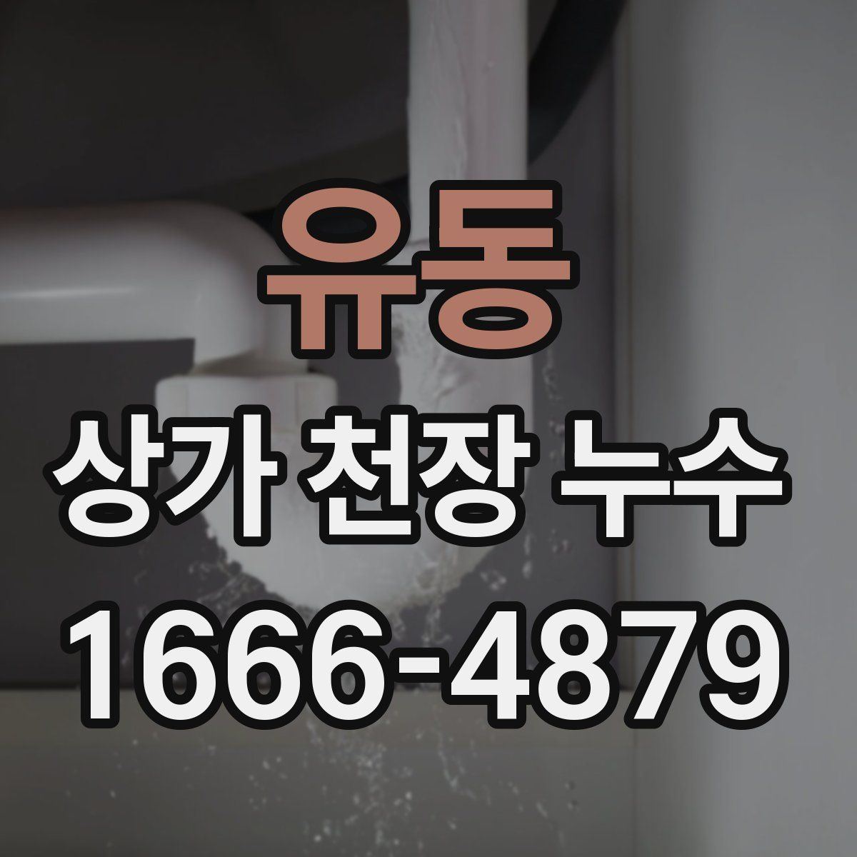 유동 상가 천장 누수