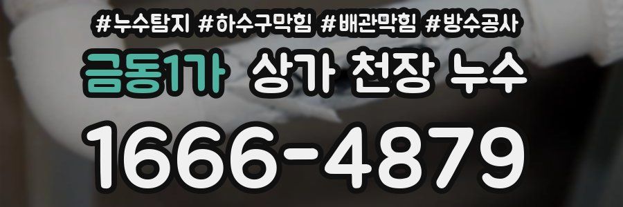 금동1가 상가 천장 누수