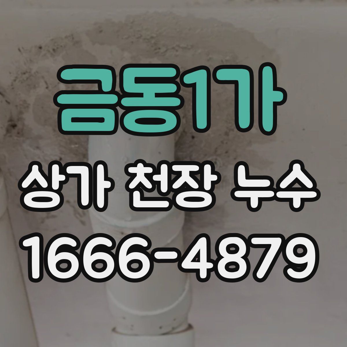 금동1가 상가 천장 누수