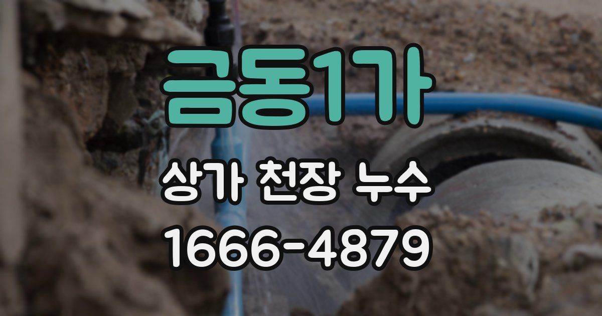 금동1가 상가 천장 누수