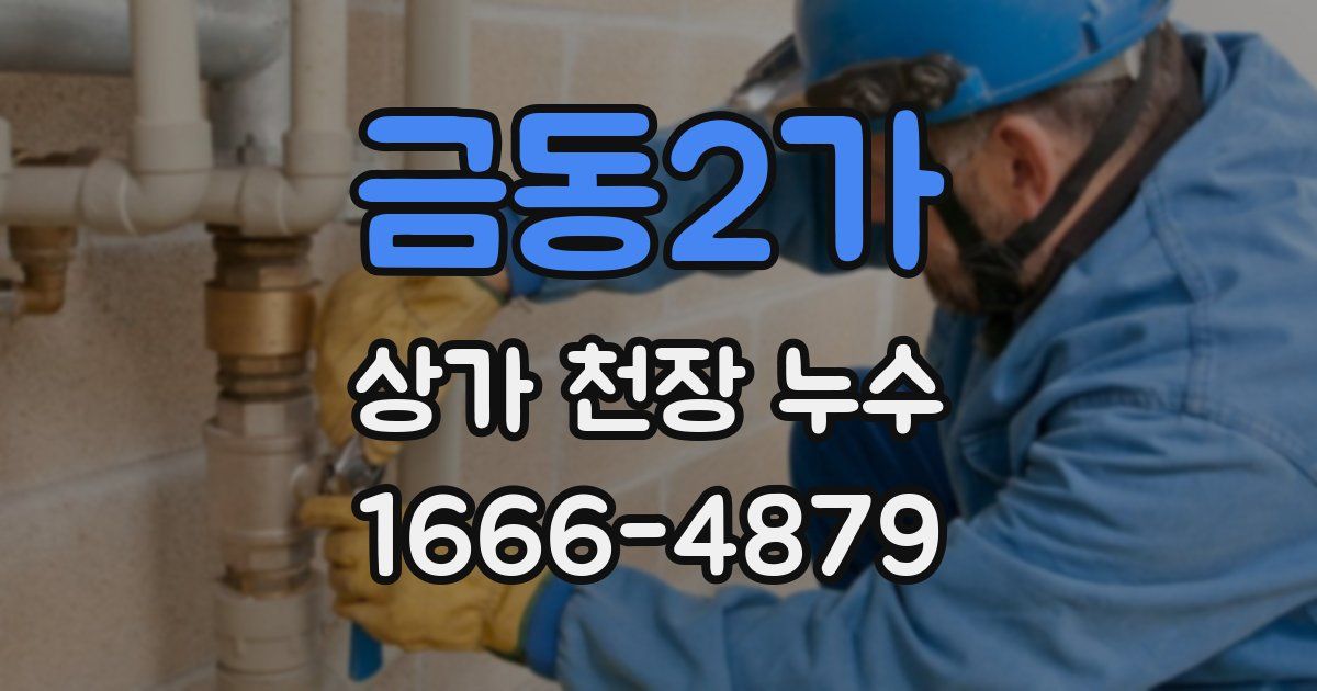 금동2가 상가 천장 누수