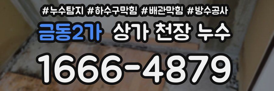 금동2가 상가 천장 누수