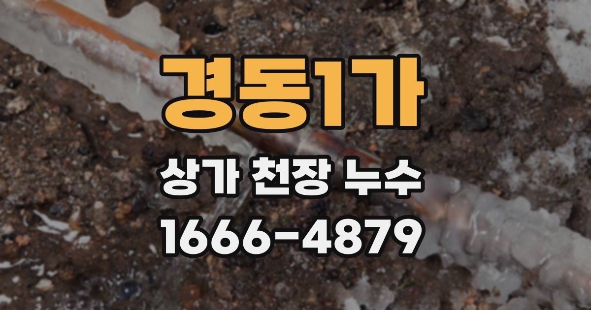경동1가 상가 천장 누수