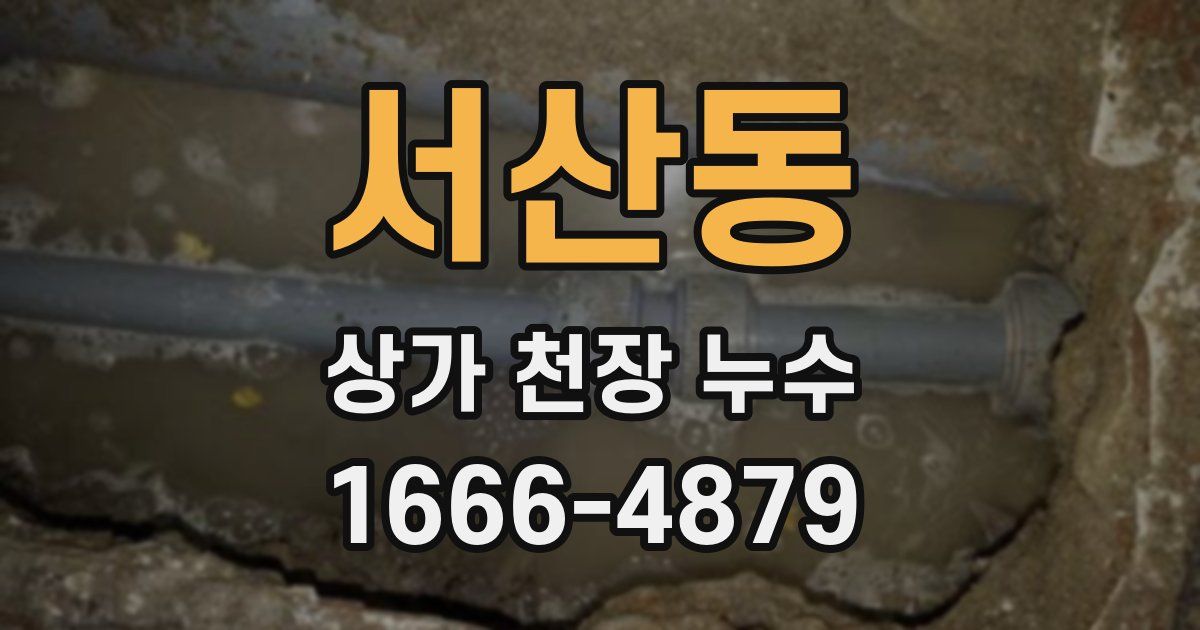 서산동 상가 천장 누수