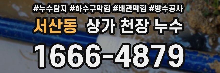 서산동 상가 천장 누수