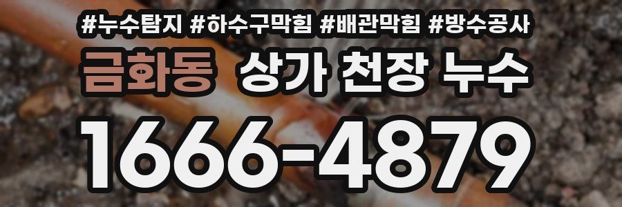 금화동 상가 천장 누수