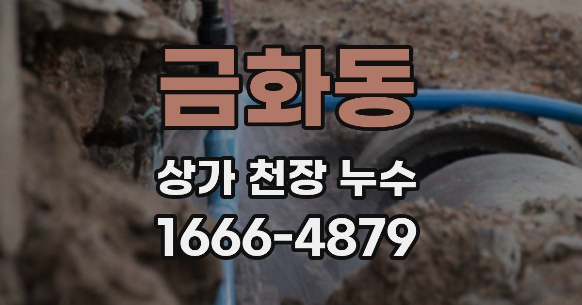 금화동 상가 천장 누수