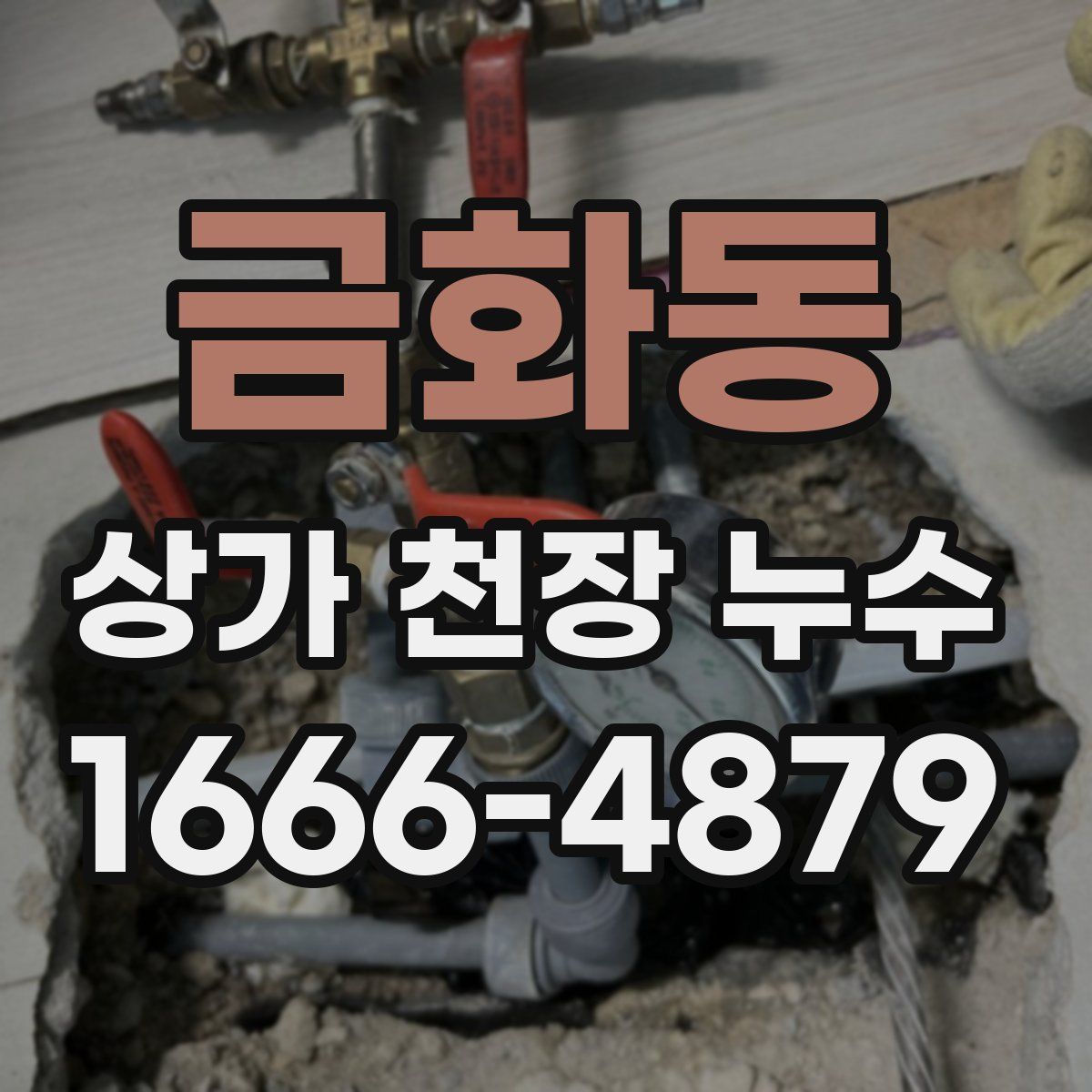 금화동 상가 천장 누수