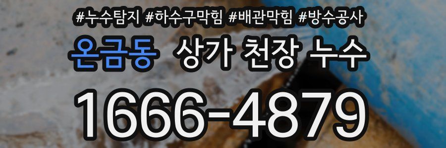 온금동 상가 천장 누수