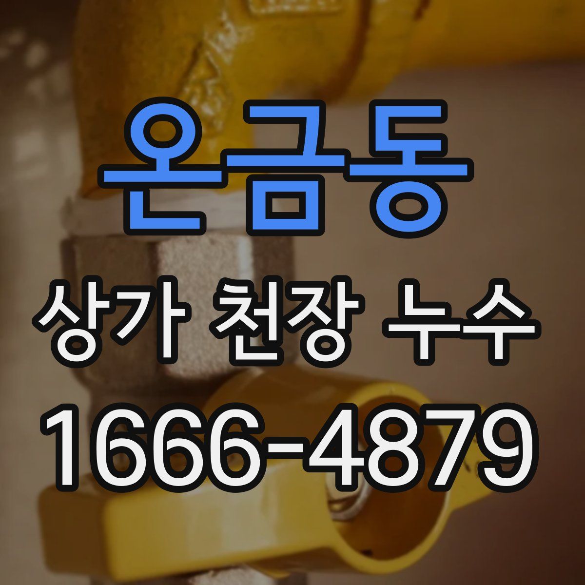 온금동 상가 천장 누수