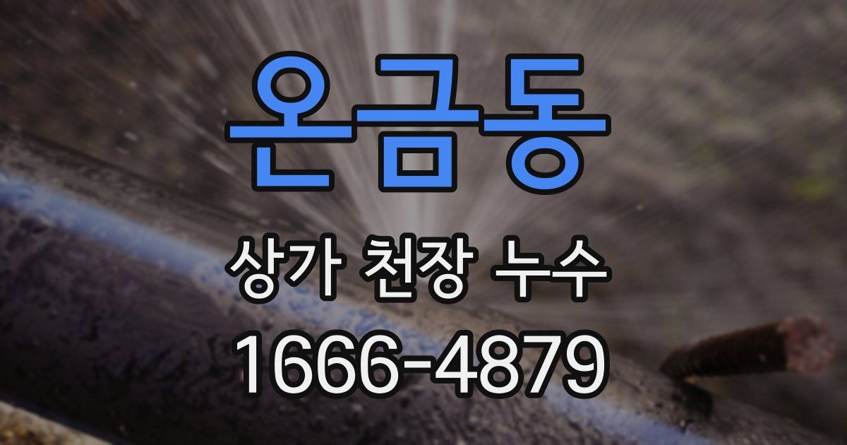 온금동 상가 천장 누수