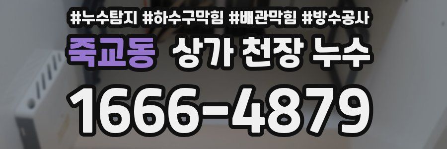 죽교동 상가 천장 누수