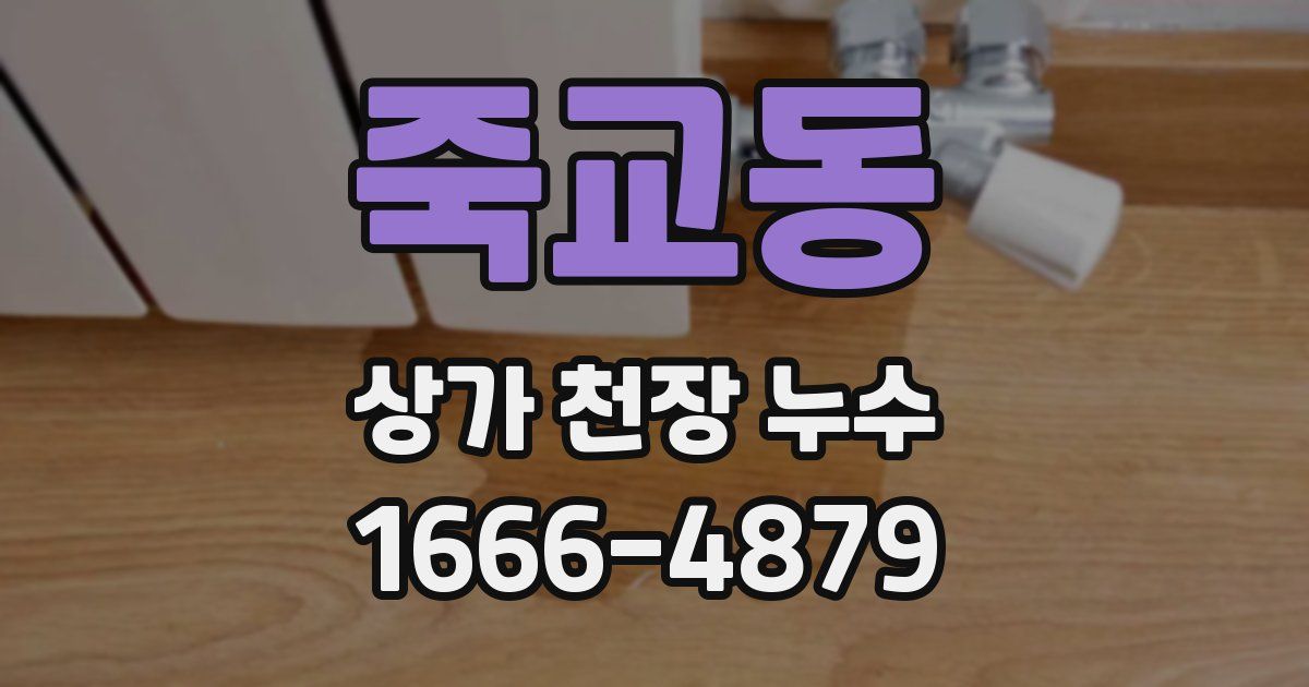 죽교동 상가 천장 누수