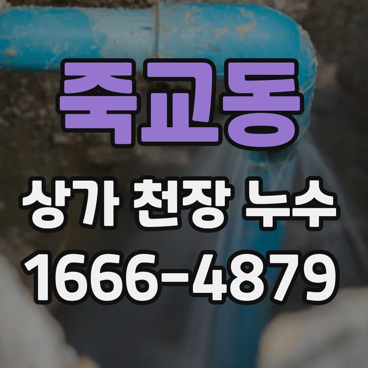 죽교동 상가 천장 누수
