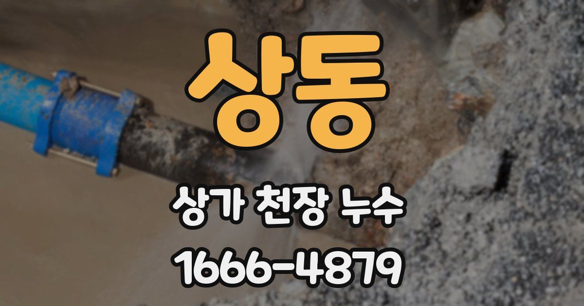 상동 상가 천장 누수