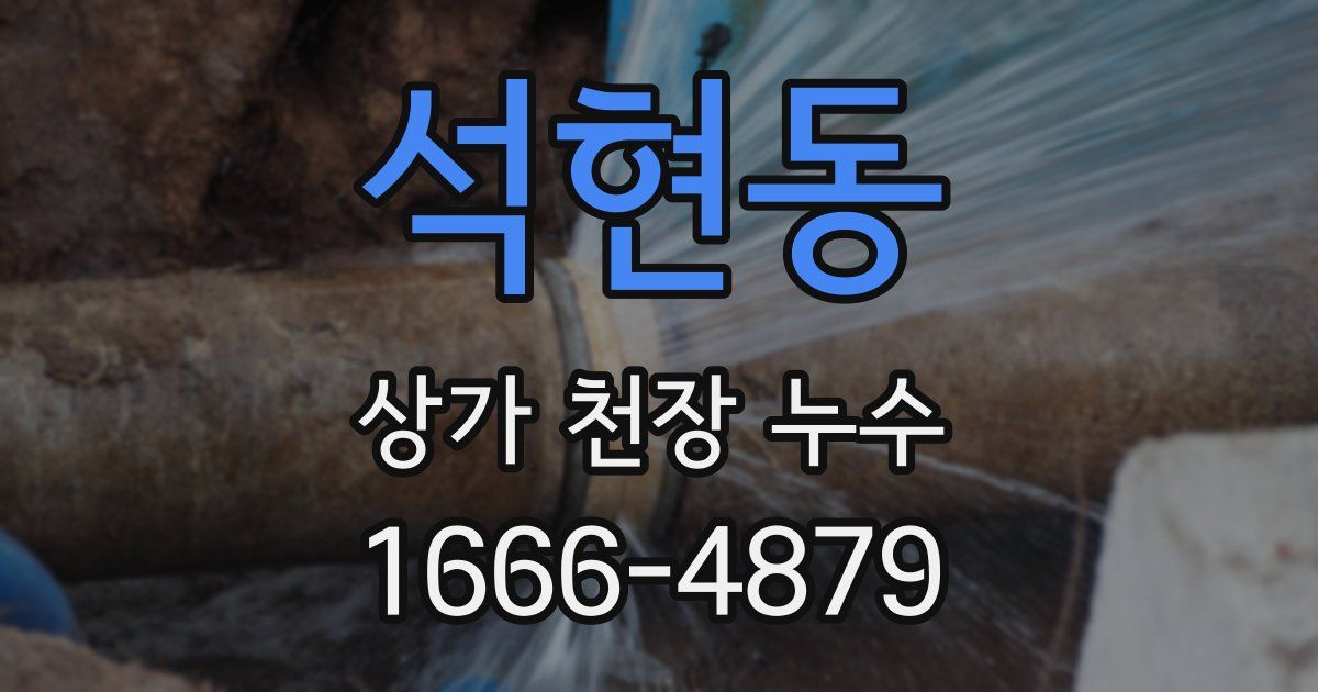 석현동 상가 천장 누수